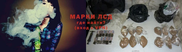 каннабис Инта