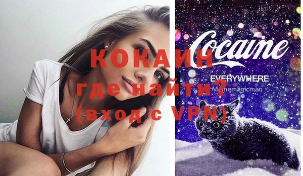 спиды Каменногорск