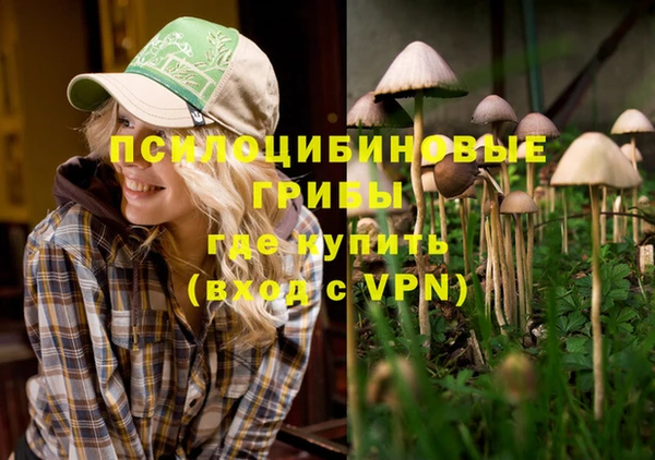 эйфоретик Карпинск
