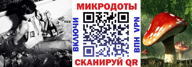Купить закладки  Болгар  Галлюциногенные грибы мицелий 